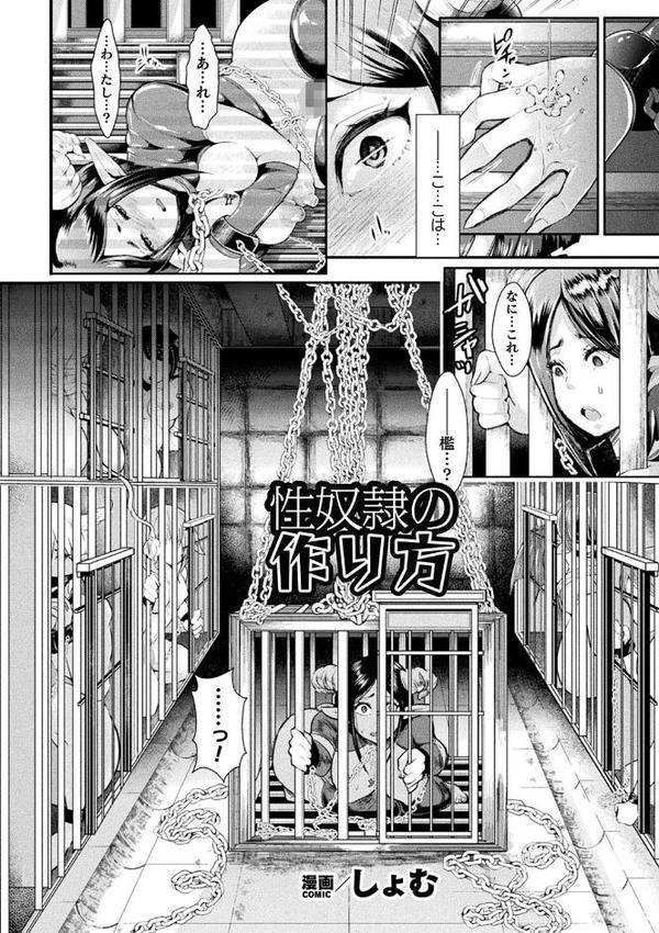 コミックアンリアル ザ・ベスト 壁尻コレクション