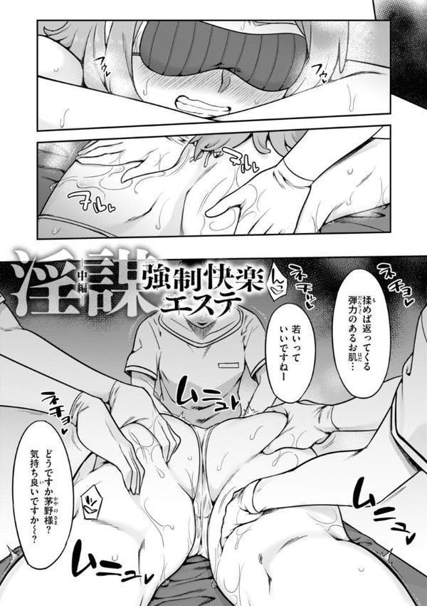 淫謀【デジタル版限定おまけ付き】