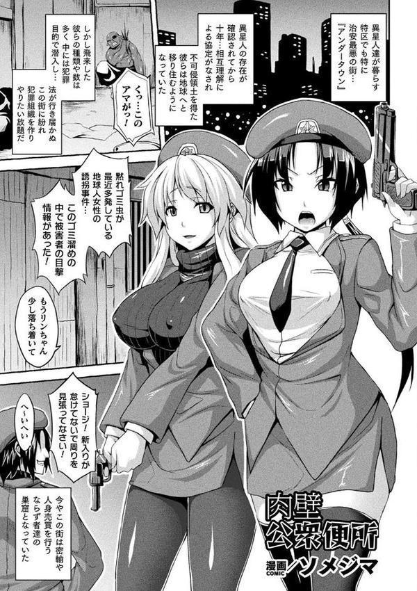 コミックアンリアル ザ・ベスト 壁尻コレクション