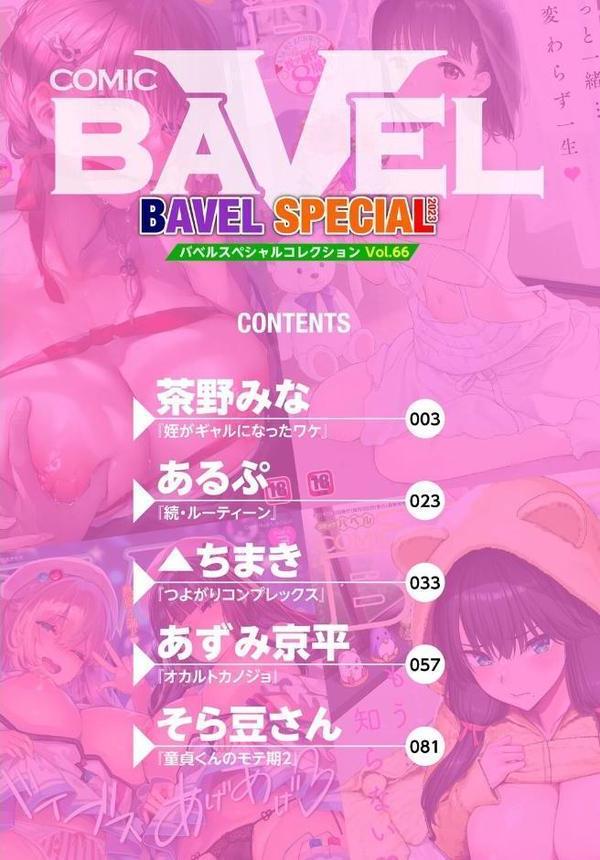 COMIC BAVEL SPECIAL COLLECTION（コミックバベル スペシャルコレクション）VOL66
