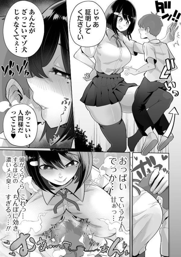 ザコマゾ・ホイホイ