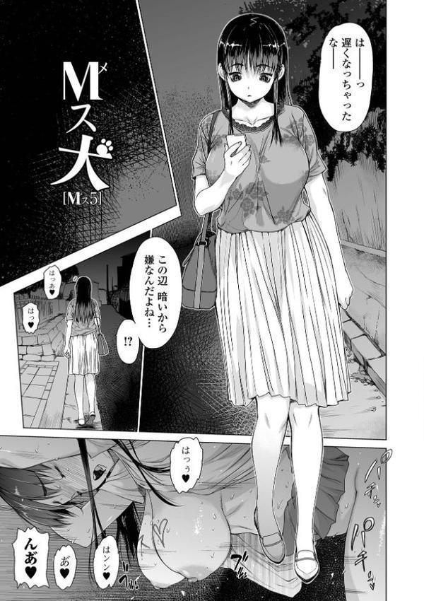 メスシコ