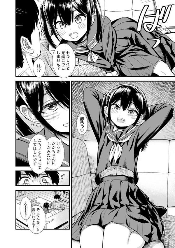 セキレイちゃんと僕【FANZA限定特典付き】